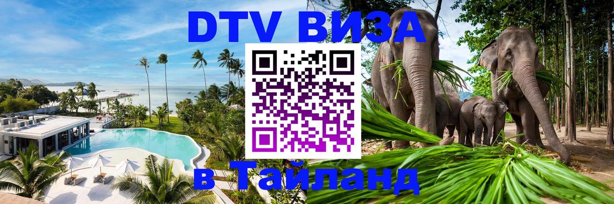 Сколько стоит DTV виза — актуальные цены, оформление даже без документов - Дакка  18.11.2025 